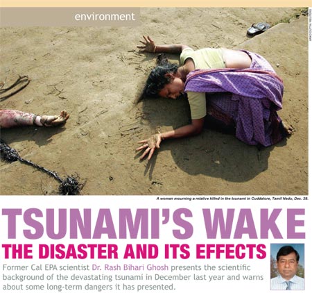  scientific background of the devastating tsunami in December last year 